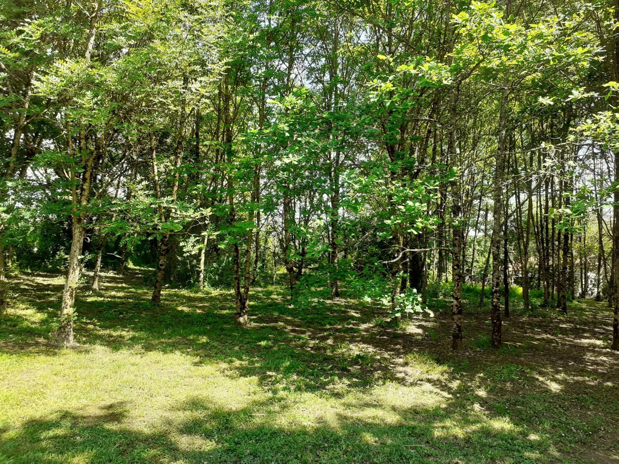 La Villa Le Petit Bois, Pres Rocamadour, Padirac Lavergne  Bagian luar foto